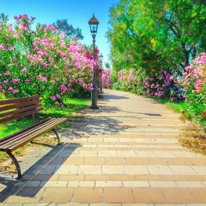 Polecane w Mieście - poznan.in