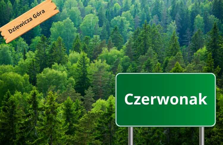 Czerwonak, Wielkopolskie - Poznan.in