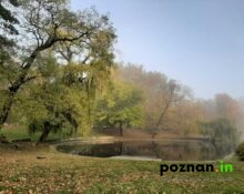 Park Marcinkowskiego Poznań - Poznan.in