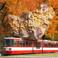 Poznańskie Rogale w Tramwaju w Gdańsku