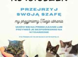 Plakat akcji KOTciuszek Fundacji Animal Security. Widoczna grafika z uśmiechniętymi kotami i napisami: "Przejrzyj swoją szafę, my przyjmiemy Twoje ubrania".