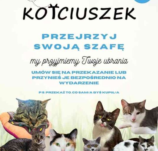 Plakat akcji KOTciuszek Fundacji Animal Security. Widoczna grafika z uśmiechniętymi kotami i napisami: "Przejrzyj swoją szafę, my przyjmiemy Twoje ubrania".