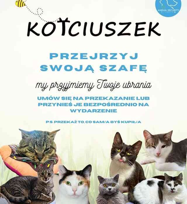 Plakat akcji KOTciuszek Fundacji Animal Security. Widoczna grafika z uśmiechniętymi kotami i napisami: "Przejrzyj swoją szafę, my przyjmiemy Twoje ubrania".