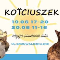 Plakat wydarzenia charytatywnego KOTciuszek organizowanego przez Fundację Animal Security w Poznaniu. Na grafice widocznych jest kilka kotów w kolorowych okularach przeciwsłonecznych i letnich akcesoriach. W centrum znajdują się daty wydarzenia: 19 i 20 czerwca oraz informacja o edycji „Powitanie Lata”.