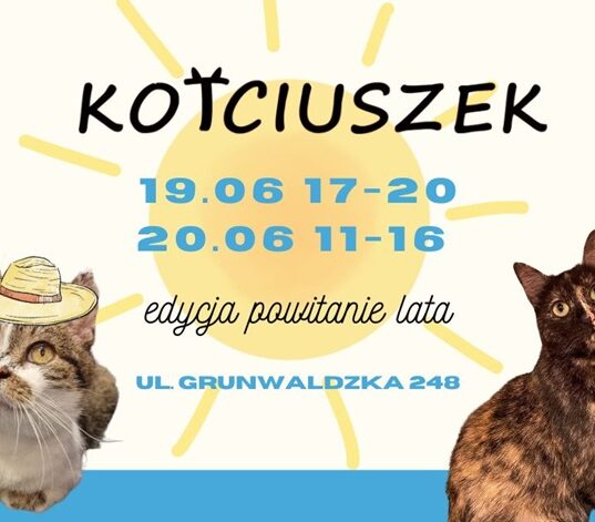 Plakat wydarzenia charytatywnego KOTciuszek organizowanego przez Fundację Animal Security w Poznaniu. Na grafice widocznych jest kilka kotów w kolorowych okularach przeciwsłonecznych i letnich akcesoriach. W centrum znajdują się daty wydarzenia: 19 i 20 czerwca oraz informacja o edycji „Powitanie Lata”.
