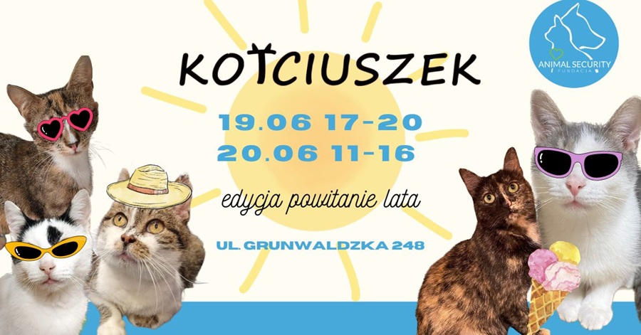 Plakat wydarzenia charytatywnego KOTciuszek organizowanego przez Fundację Animal Security w Poznaniu. Na grafice widocznych jest kilka kotów w kolorowych okularach przeciwsłonecznych i letnich akcesoriach. W centrum znajdują się daty wydarzenia: 19 i 20 czerwca oraz informacja o edycji „Powitanie Lata”.