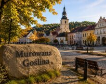 Murowana Goślina – gmina miejsko-wiejska w powiecie poznańskim na skraju Puszczy Zielonki